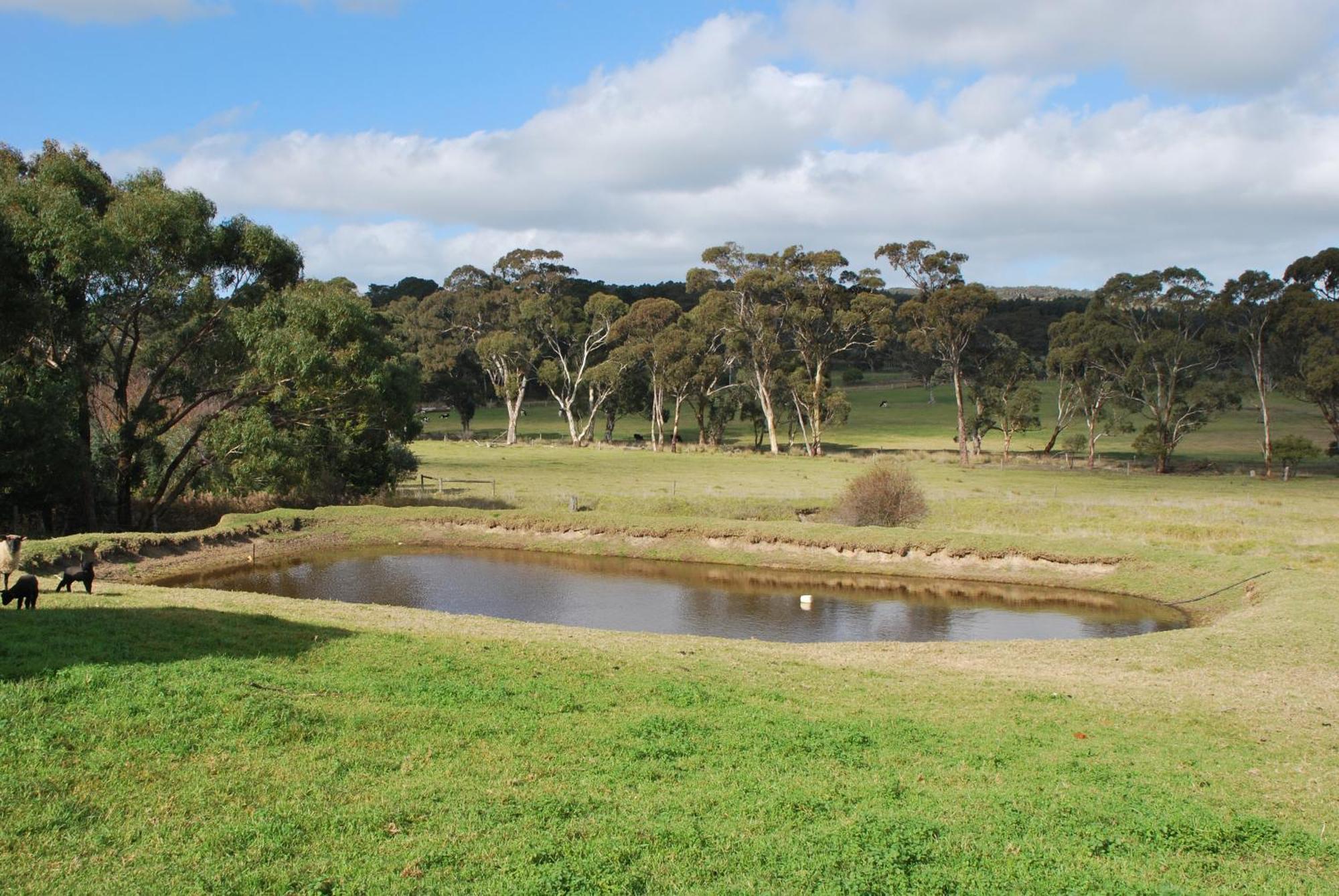 Back Valley Farmstay Bed And Breakfast Victor Harbor Luaran gambar