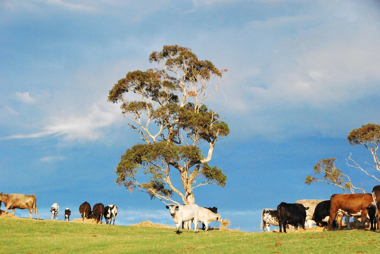 Back Valley Farmstay Bed And Breakfast Victor Harbor Luaran gambar