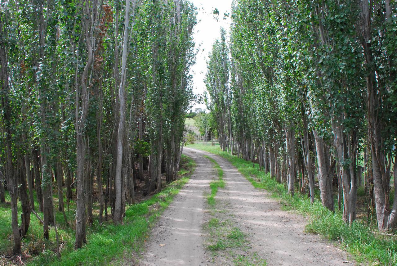 Back Valley Farmstay Bed And Breakfast Victor Harbor Luaran gambar